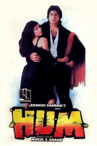 Hum (1991) HINDI WEBRip 1080p | GDRive| CineDhara.Com