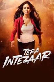Tera Intezaar (2017) HINDI WEBRip 720p & 1080p | GDRive| CineDhara.Com