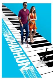 Andhadhun (2018) Hindi BluRay BluRay 720p | GDrive | CineDhara.com