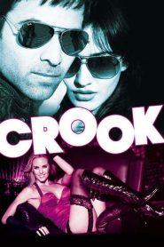 Crook: It’s Good to Be Bad (2010) HINDI WEBRip 720p | GDRive| CineDhara.Com