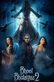 Bhool Bhulaiyaa-2 (2021) HINDI 720p & 1080p | GDRive| CineDhara.Com
