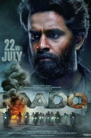 Raado (2022) [GUJRATI] WEB-DL 720p & 1080p | GDRive| CineDhara.Com