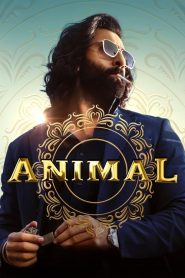 Animal 2023 Hindi WEB-DL 720P & 1080p | GDRive| CineDhara.Com