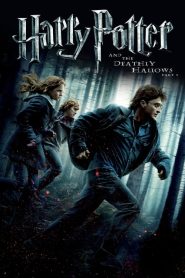 Harry Potter and the Deathly Hallows: Part 1 (2010) Dual Audio [Hindi & English] BluRay 720p & 1080p | GDrive | CineDhara.com