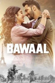 Bawaal (2023) HINDI WEB-DL 1080p | GDRive| CineDhara.Com