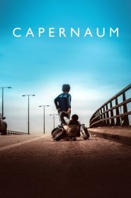 Capernaum (2018) ENGLISH BluRay 720p | GDrive | CineDhara.com