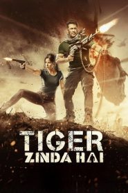 Tiger Zinda Hai (2017) HINDI Bluray 720p & 1080p | GDRive| CineDhara.Com