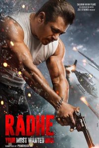 Radhe (2021) HINDI 720p & 1080p | GDRive| CineDhara.Com
