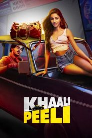 Khaali Peeli (2020) HINDI WEBRip 720p | GDRive| CineDhara.Com