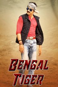 Bengal Tiger (2015) DUAL AUDIO [Hindi-Telugu] 720p & 1080p | GDRive| CineDhara.Com