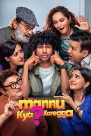 Mannu Kya Karegga 2025 (2025) HINDI HDTS 720p & 1080p | GDRive| CineDhara.Com