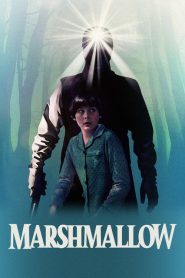 Marshmallow (2025) Dual Audio [Hindi & English] 720p & 1080p | GDrive | CineDhara.com
