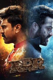 RRR (2022) HINDI WEB-DL 720p & 1080p | GDRive| CineDhara.Com