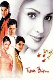 Tum Bin (2001) HINDI WEBRip 720p | GDRive| CineDhara.Com