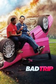 Bad Trip (2021) DUAL AUDIO [Hindi + English] WEB-DL 1080p | GDRive| CineDhara.Com