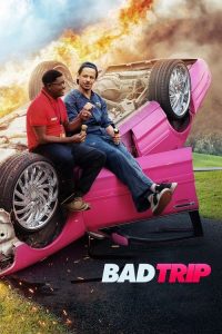 Bad Trip (2021) DUAL AUDIO [Hindi + English] WEB-DL 1080p | GDRive| CineDhara.Com
