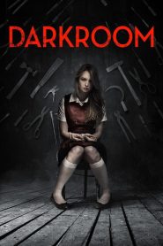 Darkroom (2013) DUAL AUDIO [Hindi-English] BLURAY 720p & 1080p | GDRive| CineDhara.Com