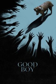 Good Boy (2025) DUAL AUDIO [Hindi + English] WEB-DL 720p & 1080p | GDRive| CineDhara.Com