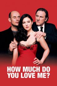 How Much Do You Love Me ? (2005) DUAL AUDIO [Hindi + English] BLURAY 720p | GDRive| CineDhara.Com