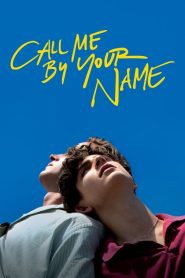 Call Me by Your Name (2017) DUAL AUDIO [Hindi-English] BLURAY 720p & 1080p | GDRive| CineDhara.Com