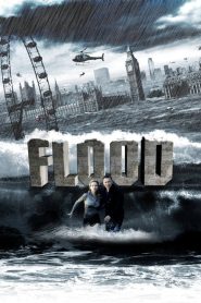 Flood (2007) DUAL AUDIO [Hindi + English] BLURAY 1080p | GDRive| CineDhara.Com