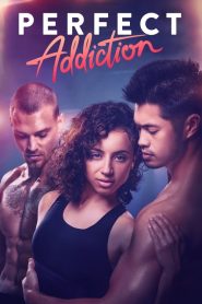 Perfect Addiction (2023) BluRay [Hindi-English] 720p & 1080p | GDRive| CineDhara.Com