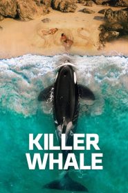 Killer Whale (2026) DUAL AUDIO [Hindi + English] WEB-DL 720p & 1080p | GDRive| CineDhara.Com
