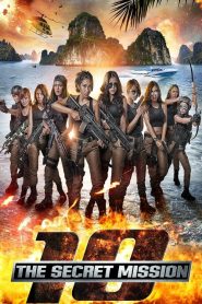 10 The Secret Mission (2017) {Hindi-INDONESIAN} WEB-DL 720p | GDRive| CineDhara.Com
