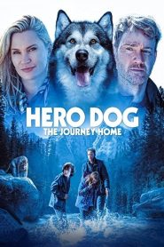 Hero Dog: The Journey Home (2021) DUAL AUDIO [Hindi + English] WEB-DL 720p & 1080p | GDRive| CineDhara.Com